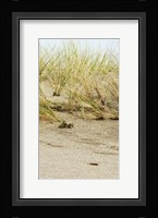 Dunes II Fine Art Print