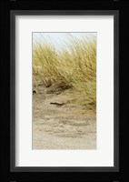 Dunes III Fine Art Print