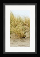 Dunes IV Fine Art Print