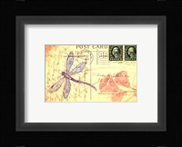 Postcard Dragonfly I Framed Print