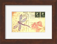 Postcard Dragonfly I Fine Art Print