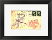 Postcard Dragonfly I Fine Art Print