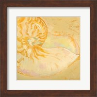 Shoreline Shells I Fine Art Print