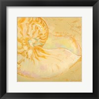 Shoreline Shells I Fine Art Print