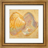 Shoreline Shells II Fine Art Print
