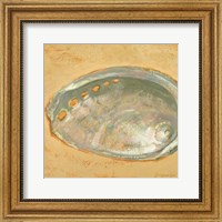 Shoreline Shells III Fine Art Print
