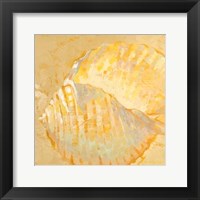 Shoreline Shells IV Fine Art Print