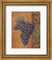 Scrolled Grapes II Fine Art Print