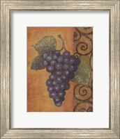 Scrolled Grapes II Fine Art Print