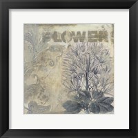 Beautiful Flowers II Framed Print