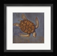 Sea Turtle I Framed Print
