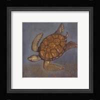 Sea Turtle II Framed Print