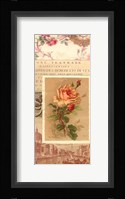 Vintage Rose Panel I Fine Art Print