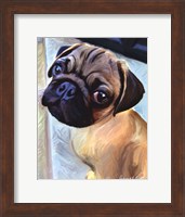 Baby Puglet Fine Art Print