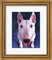 Bull Terrier Bronson Fine Art Print