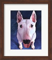Bull Terrier Bronson Fine Art Print