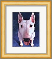 Bull Terrier Bronson Fine Art Print