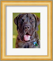 Mastiff Fine Art Print