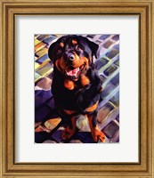 Handsome Rottie Fine Art Print