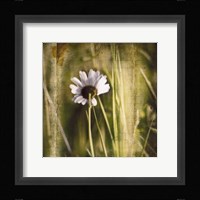 Green I Framed Print