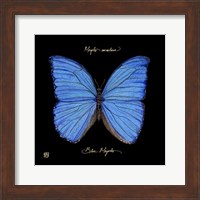 Striking Butterfly I Fine Art Print
