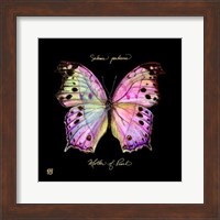 Striking Butterfly III Fine Art Print