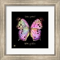 Striking Butterfly III Fine Art Print