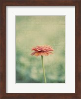 Flower Portrait III Fine Art Print