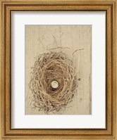 Nesting III Fine Art Print