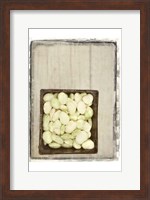 Basket of Beans Fine Art Print