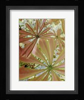Woodland Plants in Red III Fine Art Print