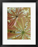 Woodland Plants in Red III Fine Art Print