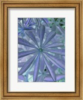 Woodland Plants in Blue I Fine Art Print