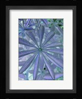 Woodland Plants in Blue I Fine Art Print