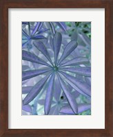 Woodland Plants in Blue I Fine Art Print