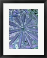 Woodland Plants in Blue I Fine Art Print