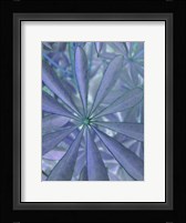 Woodland Plants in Blue II Fine Art Print