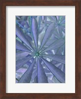 Woodland Plants in Blue II Fine Art Print