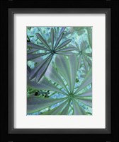 Woodland Plants in Blue III Fine Art Print