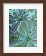 Woodland Plants in Blue III Fine Art Print