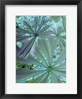 Woodland Plants in Blue III Fine Art Print