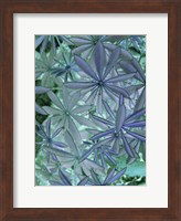 Woodland Plants in Blue IV Fine Art Print
