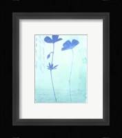 Blue Studies II Fine Art Print