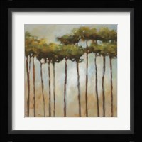 Standing Tall II Framed Print