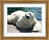 Polar Bear on the floor Fine Art Print