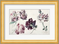 Roses Fine Art Print