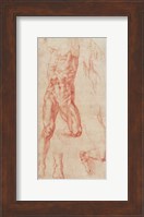 W.13r Study of a male nude, stretching upwards Fine Art Print