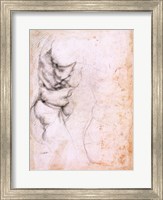 Study of torso and buttock Fine Art Print
