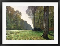 The Road to Bas-Breau, Fontainebleau (Le Pave de Chailly), c.1865 Fine Art Print