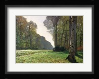 The Road to Bas-Breau, Fontainebleau (Le Pave de Chailly), c.1865 Framed Print